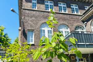 +++ ALTBAULIEBHABER AUFGEPASST - FRISCH SANIERT - ERSTEN 2 KALTMIETEN GESCHENKT +++ – Preußenring 41, 47798 Krefeld – Vorschaubild 15