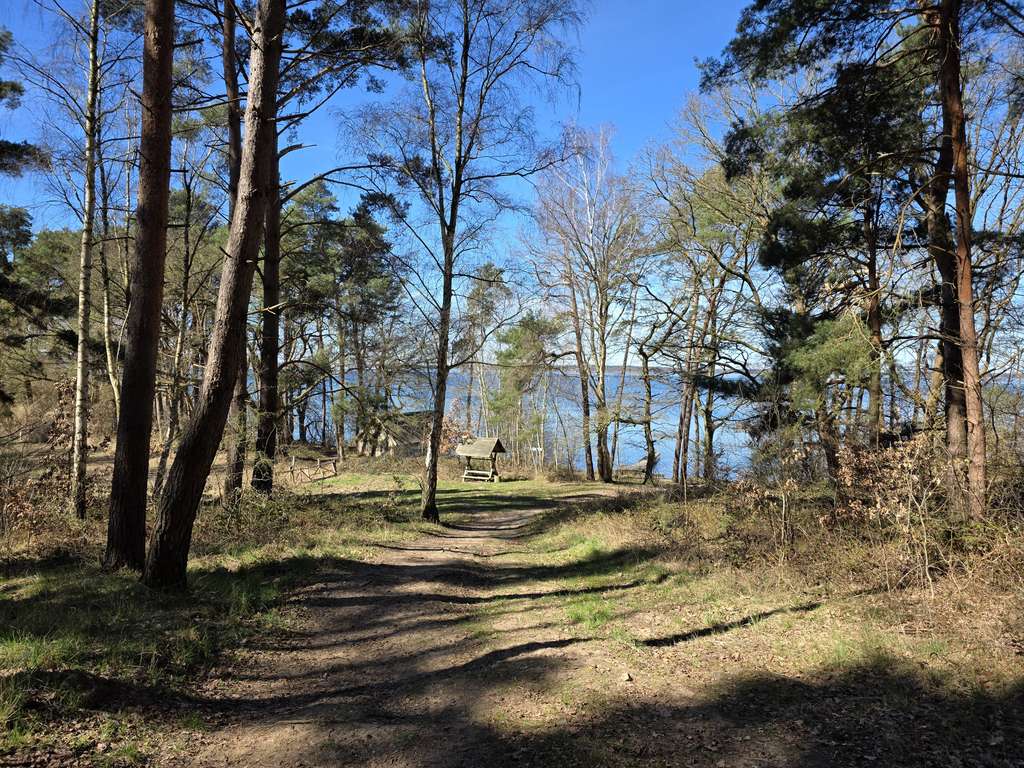 Immobilie in Fünfseen - Haushälfte "Lenzer Höh" - Bild 3