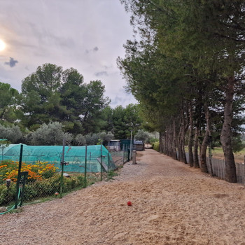 Immobilien zum Verkauf in Morata de Tajuña