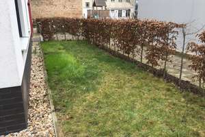 Helle 3-Zimmer-Wohnung mit 168 m² Privatgarten im Hinterhof - Alt-Hohenschönhausen – Sandinostraße 2C, 13055 Alt-Hohenschönhausen, Berlin – Vorschaubild 15