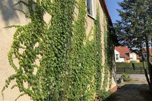 Seddin am See "Kaufen oder Mieten" – Potsdam-Mittelmark (Kreis) – Vorschaubild 2