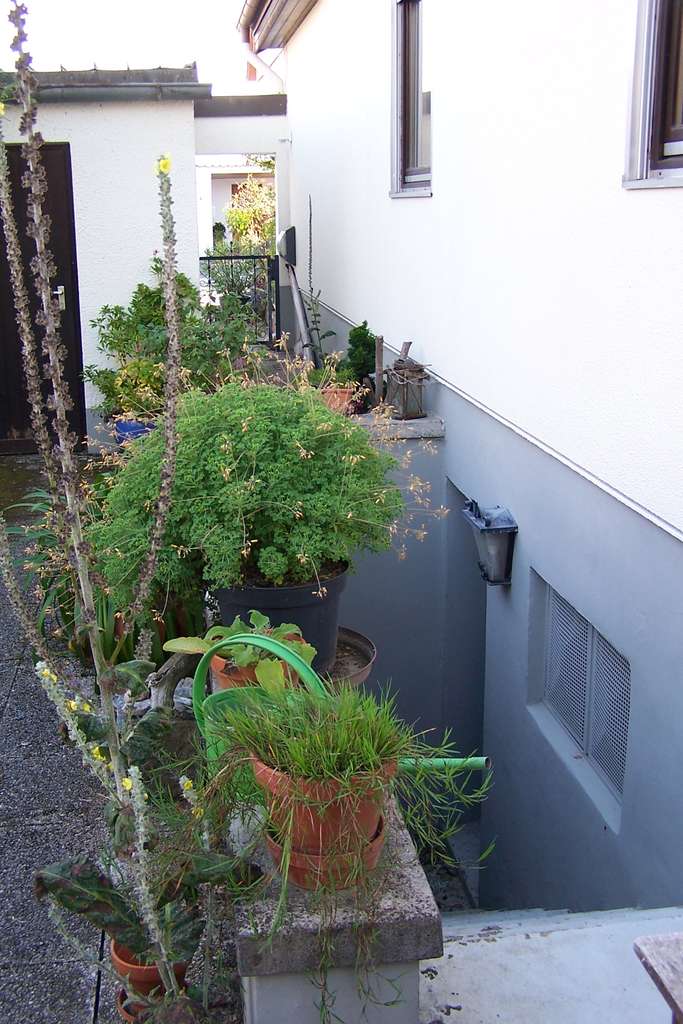 Immobilie in Pfaffenhofen an der Glonn - Haus, Doppelgarage, Garten, Teilungsversteigerung - Bild 3