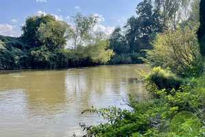 *** ZWEI Häuser mit einmaligem Blick auf die Rednitz *** 4 Stellplätze *** idyllischer Garten *** – Nürnberg – Vorschaubild 6