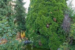 Reihenhaus mit großem Garten und Stellplatz in Top-Lage – Fürth – Vorschaubild 10