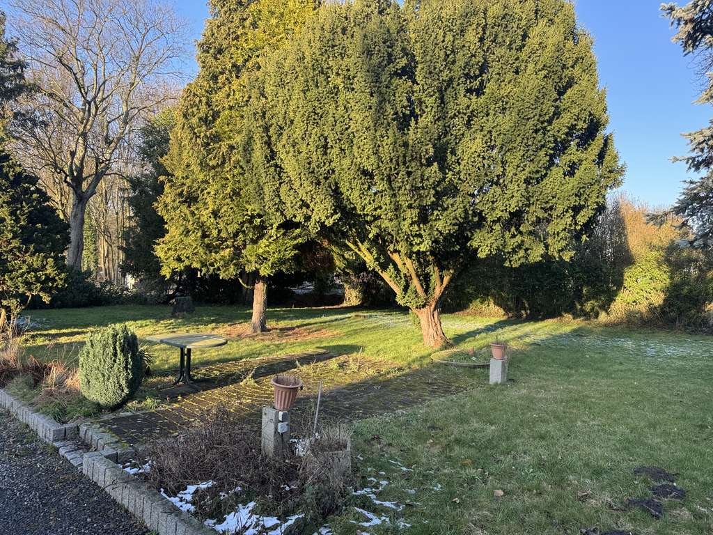 Immobilie in Herten - Handwerker gefragt !! freistehendes Mehrfamilienhaus - Bild 4