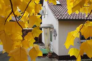 Einfamilienhaus mit kleiner Einliegerwohnung für den Naturliebhaber – Spree-Neiße (Kreis) – Vorschaubild 5