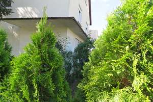 Wohn- und Gewerbeimmobile in sonniger Innenstadtlage-provisionsfrei – Carl-Loewe-Straße 9, 71065 Sindelfingen – Vorschaubild 8