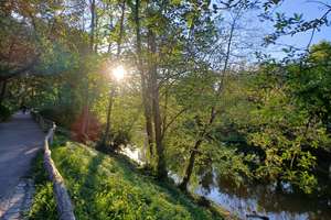 Property thumbnail 11