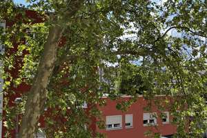 Lichtdurchflutete Wohnung mit Potential in guter Lage in Pforzheim – Maximilianstraße 152, 75172 Brötzingen, Pforzheim – Vorschaubild 10