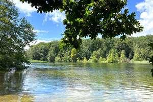 Property thumbnail 17