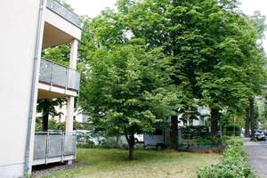 Lichtdurchflutete 3 Zimmerwohnung mit großem Balkon in gehobener Wohnlage in Striesen – Kyffhäuserstr 13, 1309 Striesen-West, Dresden – Vorschaubild 12