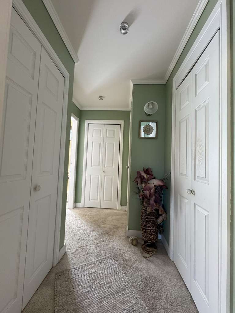 Immobilie in Gengenbach - Wohnen und arbeiten auf einer Etage! -Außenstellplätze, Doppelgarage- - Bild 3