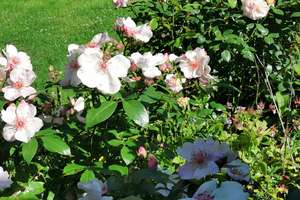 Property thumbnail 53