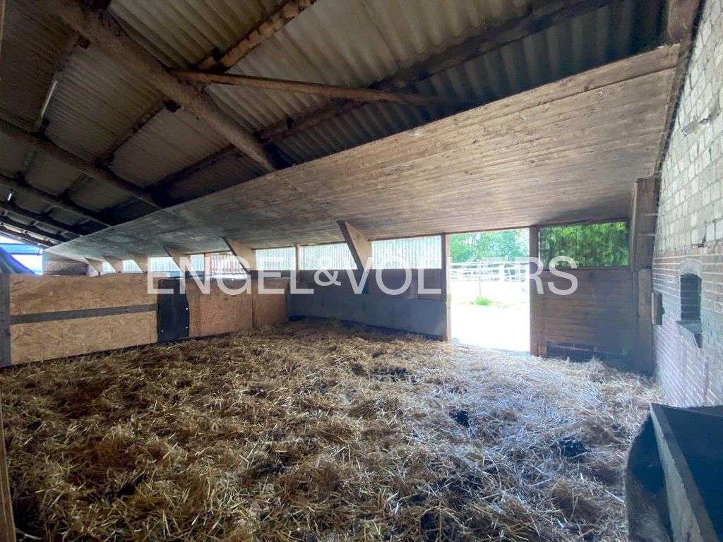 Immobilie in Jever - Sanierungsbedürftiger Resthof in einzigartiger Lage am Trinkwasserschutzgebiet - Bild 8