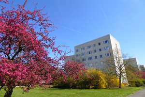 Property thumbnail 7