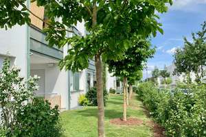 Stilvolle, barrierefreie, moderne 1,5-Zi.-Whg/Appartement, EG, 52,2 m2 – Lore-Kullmer-Straße 6, 93053 Galgenberg, Regensburg – Vorschaubild 4