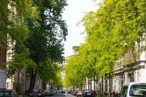 Property thumbnail 16