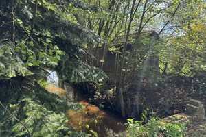 Traumhof zwischen DD und Berlin – Oberspreewald-Lausitz (Kreis) – Vorschaubild 13