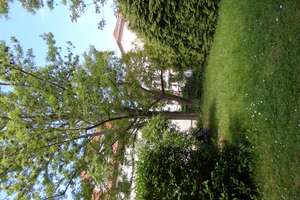 Ruhige, vermietete 3-Raumwohnung mit Tageslichtbad, Balkon und Garten zur eigenen Nutzung – Unkersdorfer Straße 18, 1156 Mobschatz, Dresden – Vorschaubild 6