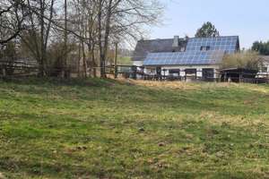 Blankenheim charmantes Fachwerkensemble von 1996 mit 4.462 m² Grundstück und vielseitigen Nutzungsop – Die vollständige Adresse der Immobilie erhältst du vom Anbieter., 53945 Blankenheim – Vorschaubild 7