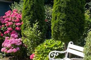 Reihenmittelhaus mit 133 m² Wohnfläche in Lübeck-Travemünde – Die vollständige Adresse der Immobilie erhältst du vom Anbieter., 23570 Travemünde, Lübeck – Vorschaubild 2