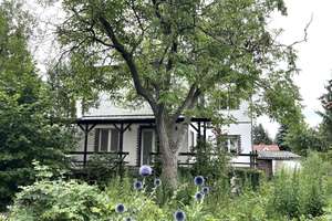 Großzügiges Zuhause mit Charakter und Potenzial nahe der Müggelspree – Elsterstraße 28, 12526 Bohnsdorf, Berlin – Vorschaubild 5