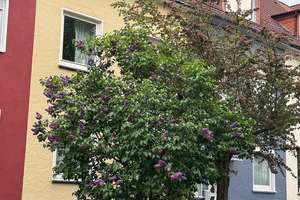 Kleines MFH mit drei Wohnungen und Garten - Bremen-Osterfeuerberg – Die vollständige Adresse der Immobilie erhältst du vom Anbieter., 28219 Osterfeuerberg, Bremen – Vorschaubild 2