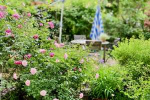 Sonnendurchflutete, großzügige Maisonettewohnung mit eigenem Garten in Frankfurt Nähe Stadtwald
