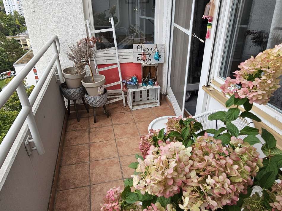 20250915_110922_resized