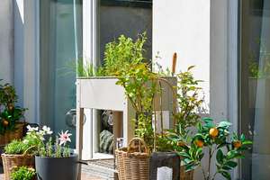 Altbau trifft Elblage – stilvoll saniert & ein traumhafter Südgarten – Die vollständige Adresse der Immobilie erhältst du vom Anbieter., 22765 Ottensen, Hamburg – Vorschaubild 11