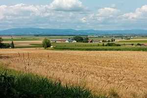 Bungalow in ruhiger Siedlungslage, Traumgrundstück und Fernblick – Deggendorf (Kreis) – Vorschaubild 13