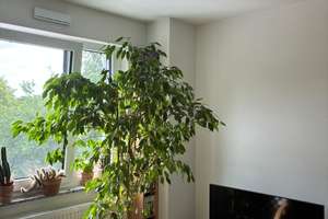 Modernes Wohnen, barrierefrei, in Nürnberg: 2-Zimmer-Wohnung mit Balkon – Hinterhofstraße 28, 90451 Eibach, Nürnberg – Vorschaubild 7
