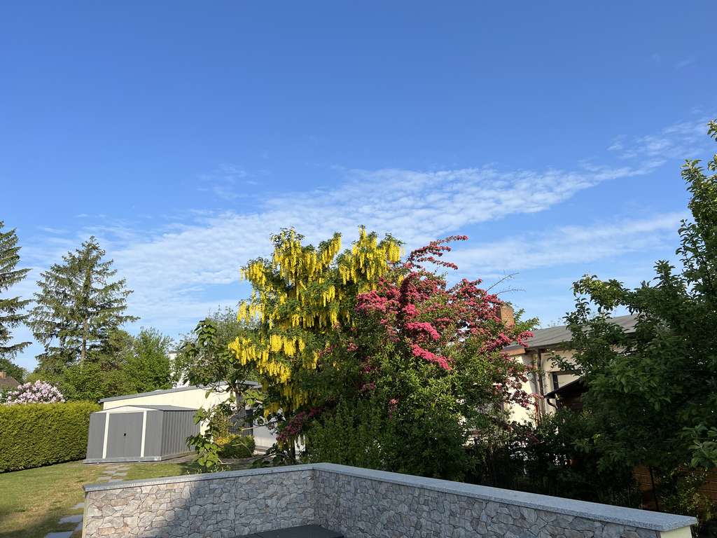 Immobilie in Lambrechtshagen - Geräumiges Einfamilienhaus mit 5 Zimmern in Rostock-Reutershagen - Bild 3