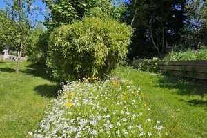 EFH mit XXL-Wohn-/Ess-Kochbereich und riesigem Garten in ruhiger Lage von Heidgen/Alfter bei Bonn – Rhein-Sieg-Kreis – Vorschaubild 19