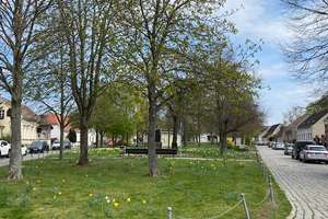 attraktive Kapitalanlage im grünen Marzahn - Eigentumswohnung mit Balkon vermietet – Die vollständige Adresse der Immobilie erhältst du vom Anbieter., 12685 Marzahn, Berlin – Vorschaubild 8