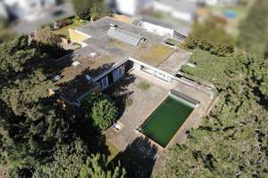 Blickgeschützter Bungalow mit Einliegerbereich, großem Grundstück & Pool – Die vollständige Adresse der Immobilie erhältst du vom Anbieter., 67125 Dannstadt-Schauernheim – Vorschaubild 3