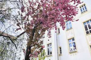 Möbliertes WG - Zimmer in kleiner zweier WG- ab sofort  – 39112 Leipziger Straße, Magdeburg – Vorschaubild 2