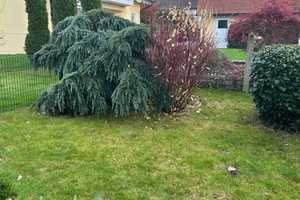 Superschöne DHH mit parkähnlichem Garten – Junggartenstr. 16, 85055 Ingolstadt – Vorschaubild 9
