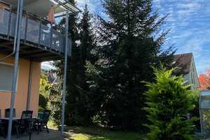 BEL-ETAGE Schwaig: 3 Zi-BALKON+GARTEN, 4 FENSTER-Seiten! Garage! per 1.5.25 FREI!! – Am Bahndamm 24, 90571 Nürnberger Land (Kreis) – Vorschaubild 5