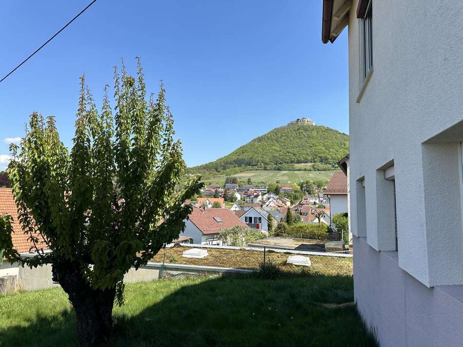 Ausblick