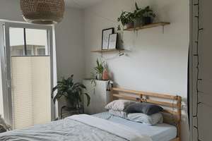 Geschwister-Scholl-Straße 24, 99085 Erfurt – Geschwister-Scholl-Straße 24, 99085 Krämpfervorstadt, Erfurt – Vorschaubild 7