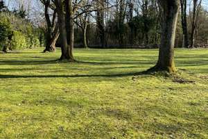 Bungalow, lichtdurchflutet, ruhig,  mit Blick ins Grüne, Terrasse, Garten – Pappelweg 21a, 53177 Heiderhof, Bonn – Vorschaubild 6