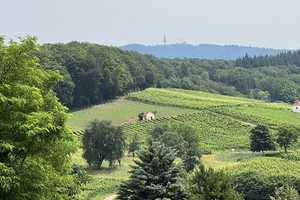 Rarität! Ehemaliger Bauernhof im Markgräflerland!
Traumhafter Innenhof/ Scheune/ Winzerkeller usw – Breisgau-Hochschwarzwald (Kreis) – Vorschaubild 12