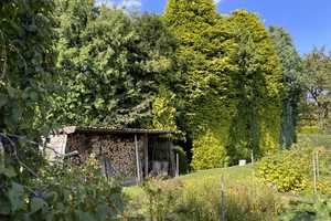 Großzügiges Anwesen | parkähnlicher Garten | Großes Potenzial – Recklinghausen (Kreis) – Vorschaubild 6