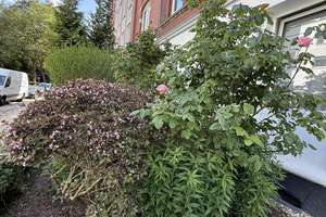 Helle, schöne und gepflegte Altbauwohnung mit Dielenfussboden und Einbauküche – Fockstrasse 26, 24114 Südfriedhof, Kiel – Vorschaubild 29