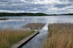 Haus und Bootshaus - Land- und Wasseridylle – Birkenweg 6, 16831 Rheinsberg – Vorschaubild 28