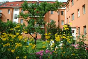 Gepflegte 2-Zimmer-Wohnung mit Einbauküche in einer ordentlichen und grünen Anlage – Auguste-Viktoria-Allee 63, 13403 Reinickendorf (Ortsteil), Berlin – Vorschaubild 12