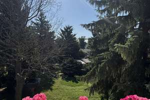 Familienparadies in Biesdorf – 7 Zimmer, 1.077 m² Grundstück, Sauna & Baureserve – Die vollständige Adresse der Immobilie erhältst du vom Anbieter., 12683 Biesdorf, Berlin – Vorschaubild 13