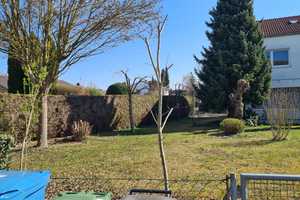 Ingolstadt-Haunwöhr, Reiheneckhaus in ruhiger Wohnlage – Ingolstadt – Vorschaubild 4