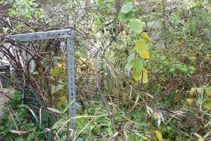 Hexenhaus mit Hof und Gärtchen, Preis ist verhandelbar !!  – Wiesbaden – Vorschaubild 27